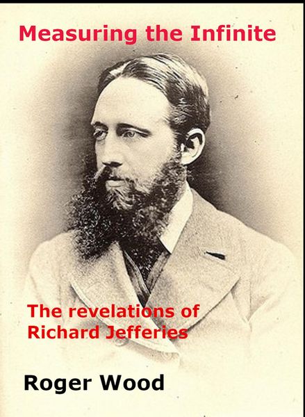 Produktbild: Measuring the Infinite (Monography, #2)