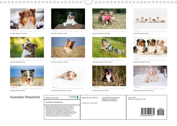Produktbild: Wunderbare Australian Shepherds (Wandkalender 2022 DIN A3 quer)