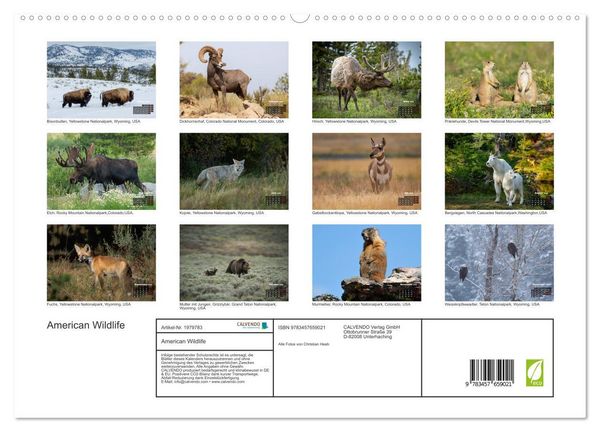 Produktbild: American Wildlife (hochwertiger Premium Wandkalender 2026 DIN A2 quer), Kunstdruck in Hochglanz