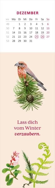 Produktbild: Lesezeichenkalender Naturschätze 2026
