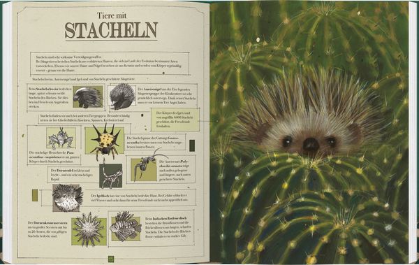 Produktbild: Tierisch sch&ouml;n
