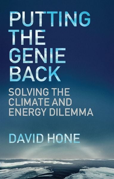 Produktbild: Putting the Genie Back
