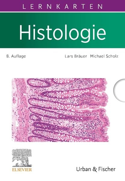 Lernkarten Histologie, Sonstige von Lars Bräuer,Michael Scholz, Urban & Fischer in Elsevier, 978-3-437-41204-2