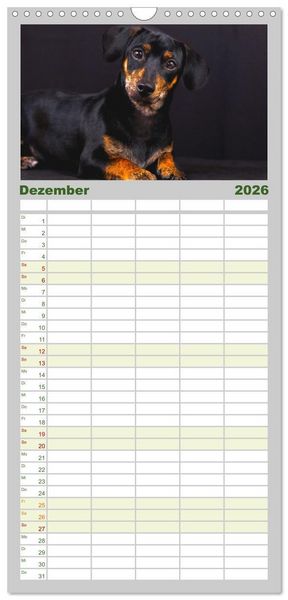Produktbild: Familienplaner 2026 - Dackelblicke - Lassen Herzen erw&auml;rmen. mit 5 Spalten (Wandkalender, 21 x 45 cm) CALVENDO