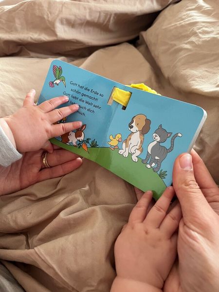 Produktbild: Die Buggy-Bibel