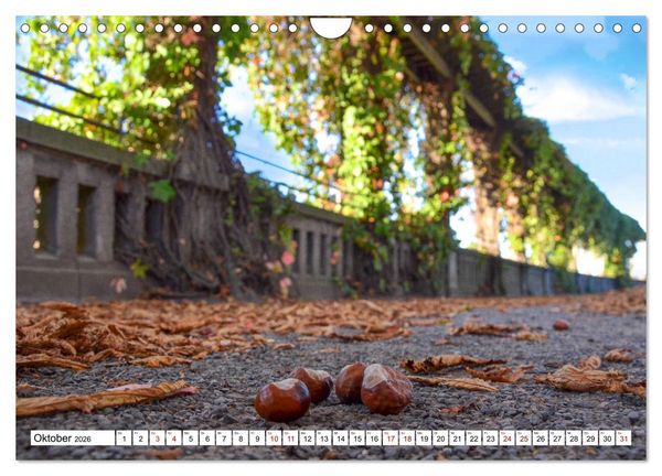 Produktbild: Kassel begeistert (Wandkalender 2026 DIN A4 quer), CALVENDO Monatskalender