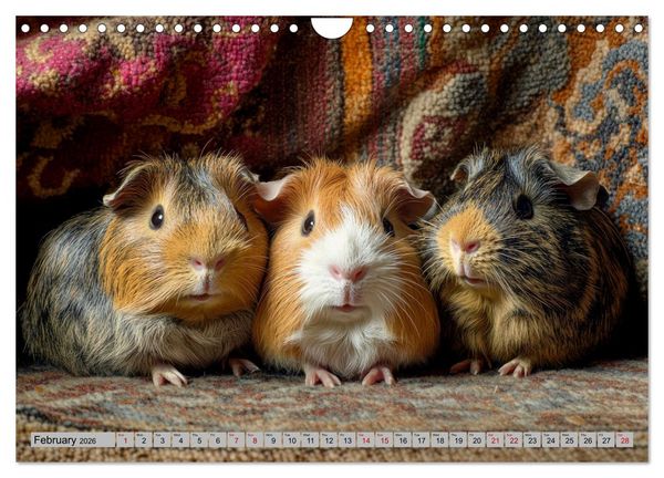 Produktbild: Guinea Pigs with Happy Squeal (Wall Calendar 2026 DIN A4 landscape), CALVENDO 12 Month Wall Calendar
