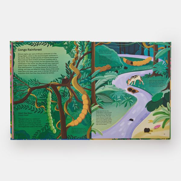 Produktbild: A Home for Every Plant