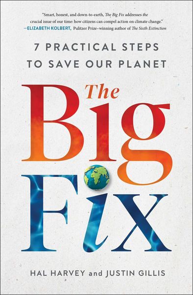 Produktbild: The Big Fix