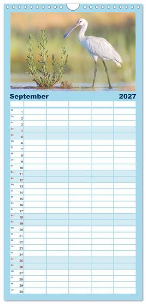 Produktbild: Familienplaner 2027 - Limikolen - Watv&ouml;gel aus Europa mit 5 Spalten (Wandkalender, 21 x 45 cm) CALVENDO