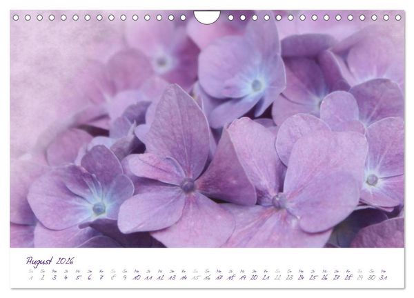 Produktbild: Lila Bl&uuml;ten (Wandkalender 2026 DIN A4 quer), CALVENDO Monatskalender