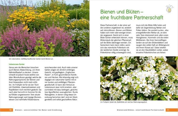 Die schönsten Pflanzen für Bienen und Hummeln u.v.a. nützliche Insekten. Für Garten, Balkon & Terrasse
