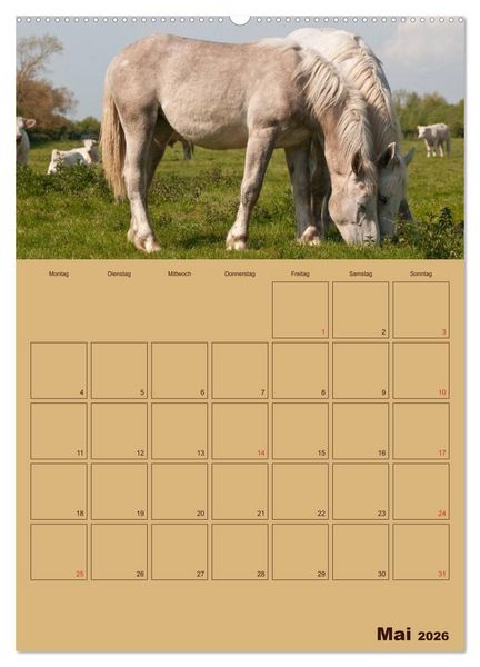 Produktbild: Pferde Gute Freunde (hochwertiger Premium Wandkalender 2026 DIN A2 hoch), Kunstdruck in Hochglanz