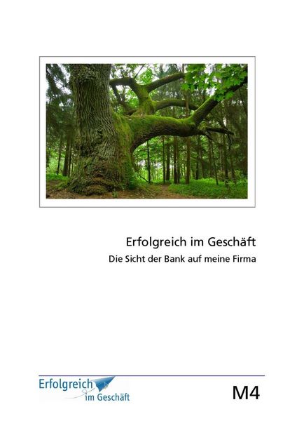 Produktbild: Modul 4: Die Sicht der Bank auf meine Firma