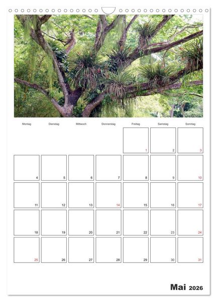 Produktbild: Venezuela - Land der Kontraste (Wandkalender 2026 DIN A3 hoch), CALVENDO Monatskalender