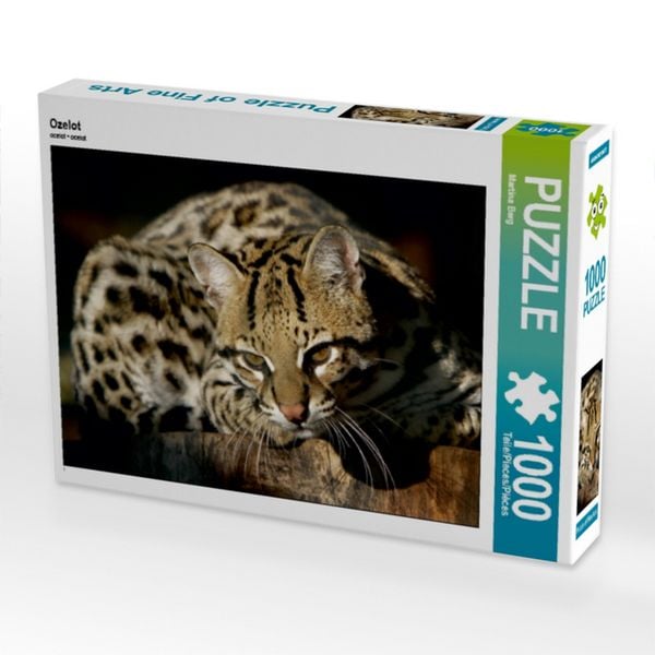 Produktbild: CALVENDO Puzzle Ozelot | 1000 Teile Lege-Gr&ouml;&szlig;e 64x48cm Foto-Puzzle f&uuml;r gl&uuml;ckliche Stunden