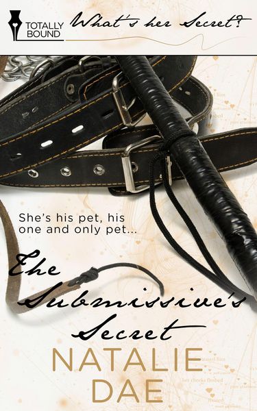 Produktbild: The Submissive's Secret