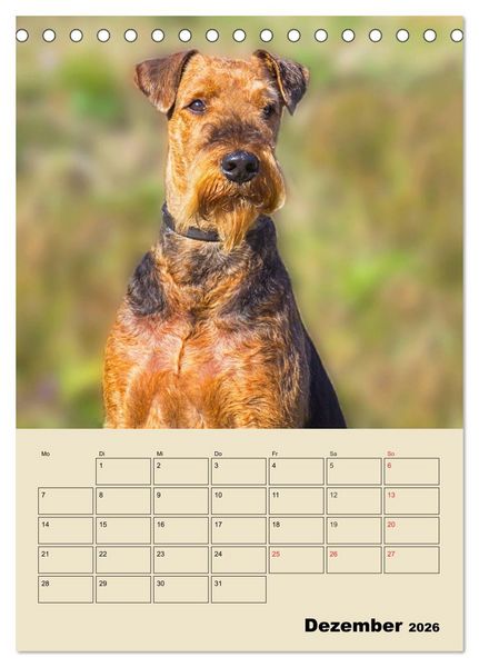 Produktbild: Airedale Terrier - Temperament auf 4 Pfoten (Tischkalender 2026 DIN A5 hoch), CALVENDO Monatskalender