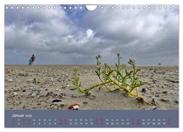 Produktbild: Norderney - Meine Trauminsel (Wandkalender 2026 DIN A4 quer), CALVENDO Monatskalender