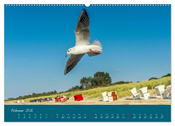 Produktbild: Blick auf die Halbinsel Fischland, Dar&szlig; und Zingst (hochwertiger Premium Wandkalender 2026 DIN A2 quer), Kunstdruck in Hochglanz