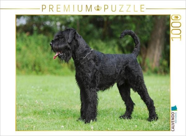 CALVENDO Puzzle Stehender Riesenschnauzer | 1000 Teile Lege-Größe 64x48cm Foto-Puzzle für glückliche Stunden