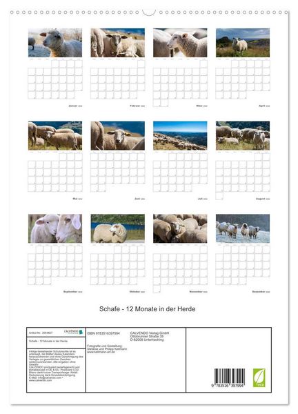 Produktbild: Schafe - 12 Monate in der Herde (hochwertiger Premium Wandkalender 2026 DIN A2 hoch), Kunstdruck in Hochglanz