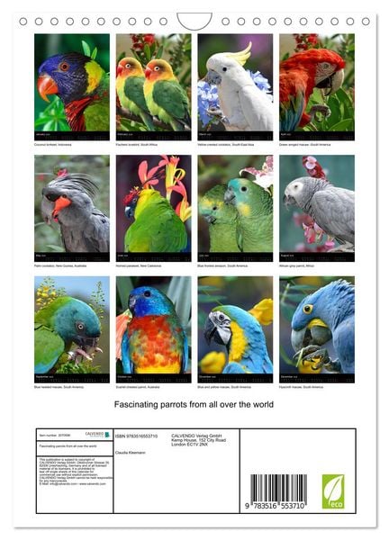 Produktbild: Fascinating parrots from all over the world (Wall Calendar 2026 DIN A4 portrait), CALVENDO 12 Month Wall Calendar