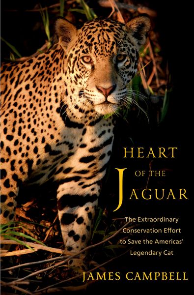Produktbild: Heart of the Jaguar