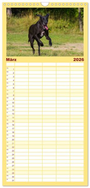Produktbild: Familienplaner 2026 - Deutsche Dogge mit 5 Spalten (Wandkalender, 21 x 45 cm) CALVENDO