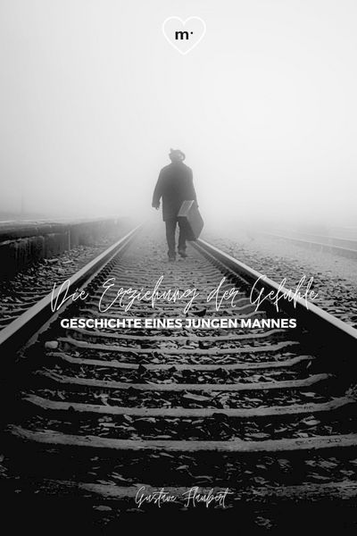 Produktbild: Die Erziehung der Gef&uuml;hle