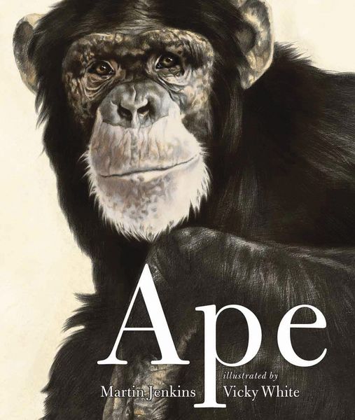 Produktbild: Ape