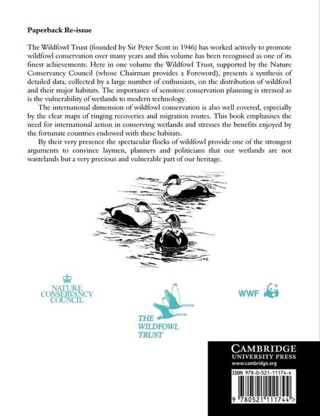 Produktbild: Wildfowl in Great Britain