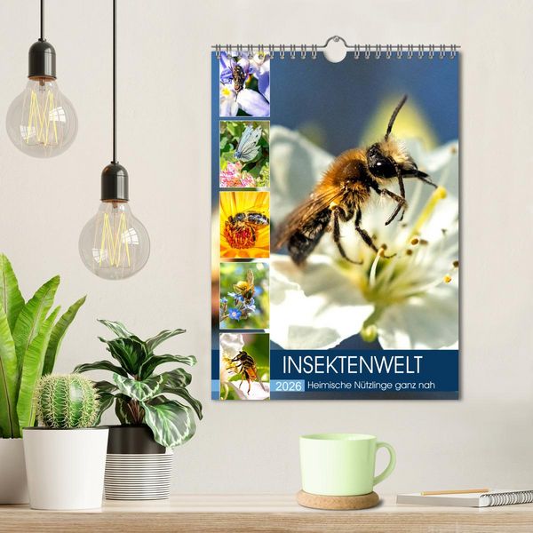 Produktbild: INSEKTENWELT - Heimische N&uuml;tzlinge ganz nah (Wandkalender 2026 DIN A4 hoch), CALVENDO Monatskalender