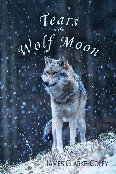 Produktbild: Tears of the Wolf Moon
