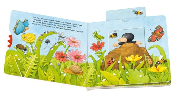 Produktbild: Ministeps: Alles, was kribbelt und krabbelt