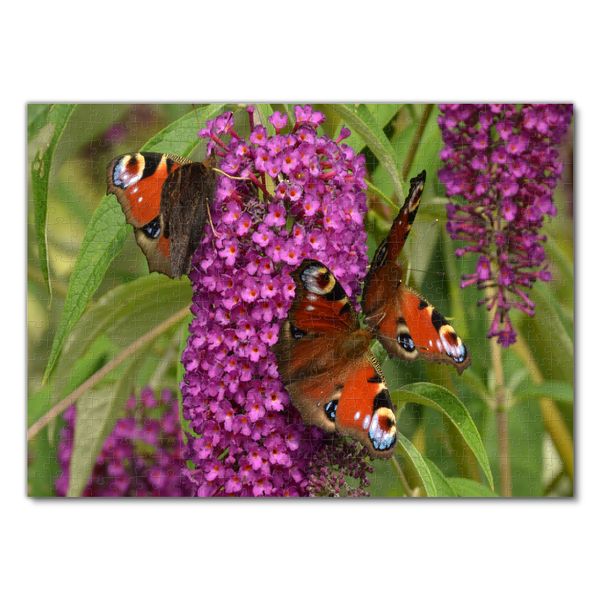 Produktbild: Lais Puzzle Schmetterlinge 500 Teile