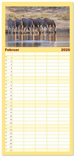 Produktbild: Familienplaner 2026 - Zebras - Die gestreiften Vierbeiner. mit 5 Spalten (Wandkalender, 21 x 45 cm) CALVENDO