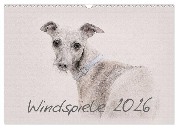 Produktbild: Windspiele 2026 (Wandkalender 2026 DIN A3 quer), CALVENDO Monatskalender