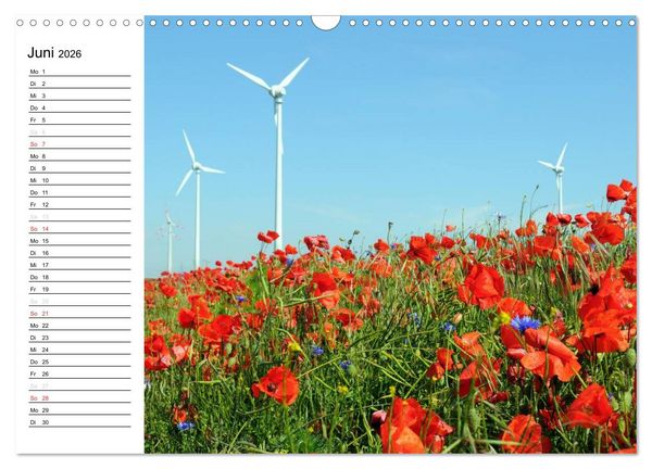 Produktbild: Vier Jahreszeiten im Land Brandenburg (Wandkalender 2026 DIN A3 quer), CALVENDO Monatskalender