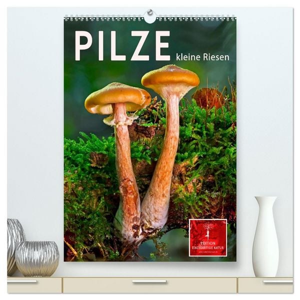 Produktbild: Pilze - kleine Riesen (hochwertiger Premium Wandkalender 2026 DIN A2 hoch), Kunstdruck in Hochglanz