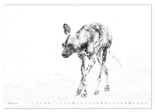 Produktbild: AFRIKA - Schwarz-weiss Fotografien im modernen "High Key" Look (Wandkalender 2026 DIN A2 quer), CALVENDO Monatskalender