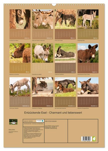 Produktbild: Entz&uuml;ckende Esel - Charmant und liebenswert (Wandkalender 2026 DIN A2 hoch), CALVENDO Monatskalender