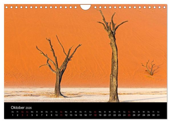 Produktbild: Lichterf&uuml;lltes Namibia (Wandkalender 2026 DIN A4 quer), CALVENDO Monatskalender