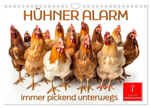 Produktbild: H&uuml;hner Alarm (Wandkalender 2026 DIN A4 quer), CALVENDO Monatskalender