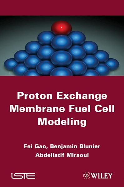Produktbild: Proton Exchange Membrane Fuel Cells Modeling