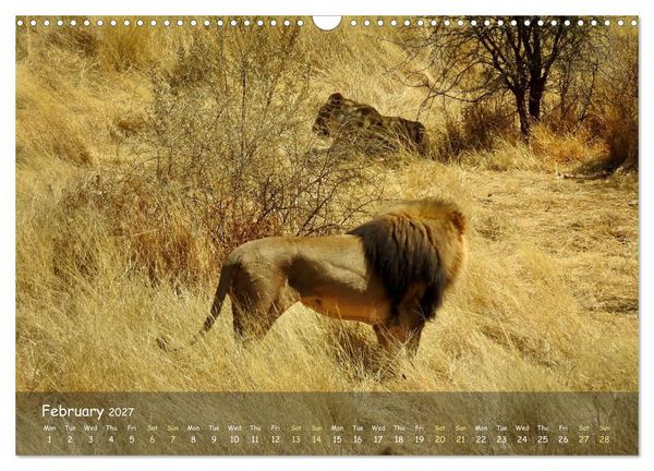 Produktbild: Namibia - African Beauty (Wall Calendar 2027 DIN A3 landscape), CALVENDO 12 Month Wall Calendar
