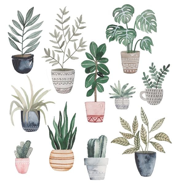 Produktbild: Die gro&szlig;e Watercolor Bibliothek