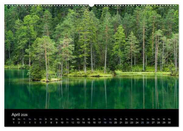 Produktbild: Wildes Europa 2026 (Wandkalender 2026 DIN A2 quer), CALVENDO Monatskalender