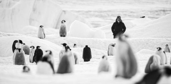 Produktbild: R&uuml;ckkehr zum Land der Pinguine