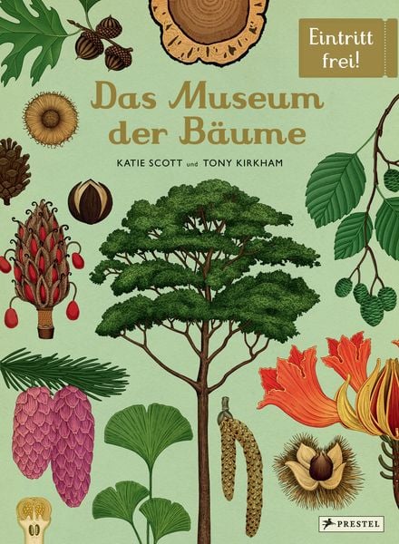 Produktbild: Das Museum der Bäume